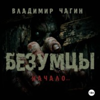 Владимир Геннадьевич Чагин. Безумцы