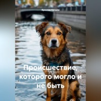 . Происшествие, которого могло и не быть