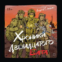 Андрей Огилько. Хроники Двенадцатого бата