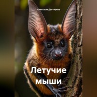 Анастасия Александровна Дегтярева. Летучие мыши