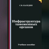Сергей Каледин. Инфраструктура таможенных органов