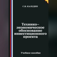 Сергей Каледин. Технико-экономическое обоснование инвестиционного проекта