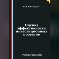 . Оценка эффективности инвестиционных проектов