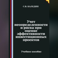 Сергей Каледин. Учет неопределенности и риска при оценке эффективности инвестиционных проектов