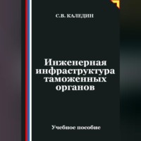 Сергей Каледин. Инженерная инфраструктура таможенных органов
