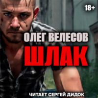 Олег Велесов. ШЛАК. Книга первая