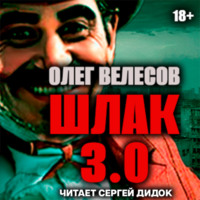 Олег Велесов. ШЛАК. Книга третья