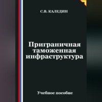 Сергей Каледин. Приграничная таможенная инфраструктура