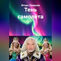 . Тень самолёта