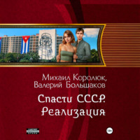. Спасти СССР. Реализация