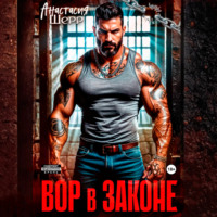 Анастасия Шерр. Вор в законе