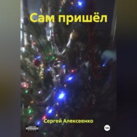 Сергей Алексеенко. САМ ПРИШЁЛ