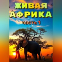 Наталья Баркар. «Живая Африка» Часть 1