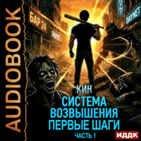 Кин. Система Возвышения. Книга 2. Первые шаги. Часть 1