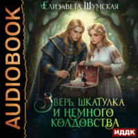 Елизавета Шумская. Записки маленькой ведьмы. Книга 6. Зверь, шкатулка и немного колдовства