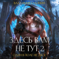 Владимир Сухинин. Здесь вам не тут – 2. Один в поле не двое