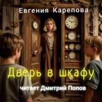 Евгения Карепова. Дверь в шкафу