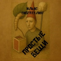 Ильяс Сибгатулин. Простые вещи