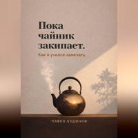Павел Кудинов. Пока чайник закипает. Как я учился замечать