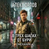 . В трех шагах от бури. Механик