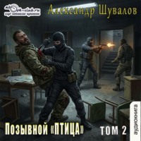 Александр Шувалов. Позывной «ПТИЦА». Том 2