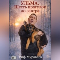 Риф Муравлев. Ульма. Шесть прогулок до завтра