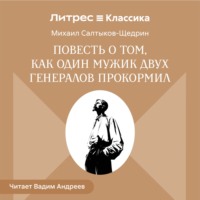 . Повесть о том, как один мужик двух генералов прокормил