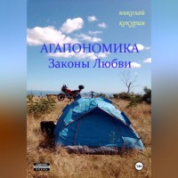 Николай Кокурин. Агапономика - Законы Любви