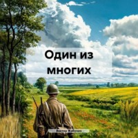 . Один из многих