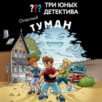 Ульф Бланк. Три юных детектива. Опасный туман