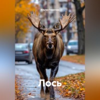 Ильгиз Гиматов. Лось
