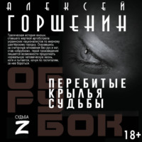 Алексей Валериевич Горшенин. Перебитые крылья судьбы