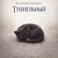 Владимир Беленко. Туннельный