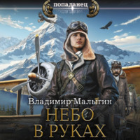 Владимир Владиславович Малыгин. Небо в руках