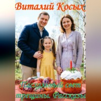 Виталий Александрович Косых. Пасхальный свет трещины. Рассказы
