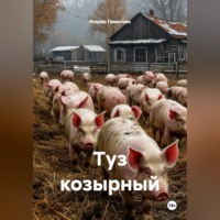 Ильгиз Гиматов. Туз козырный