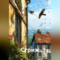 Ильгиз Гиматов. Стриж
