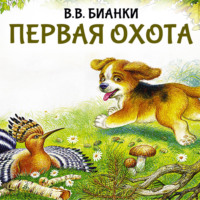Виталий Бианки. Первая охота
