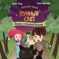 Чон Ынгён. Магазин теней «Лунный свет». Книга 2. Кошка в стеклянной бутылке