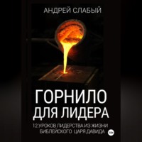 Андрей Слабый. Горнило для лидера. 12 уроков лидерства из жизни библейского царя Давида