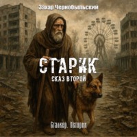 Захар Чернобыльский. Сталкер. Истории. Старик. Сказ второй