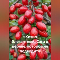 Война Владимир. «Кизил Элегантный. Сага о дереве, которое не подводит»