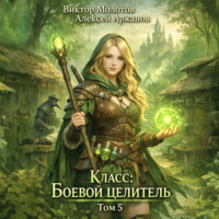 Виктор Молотов. Класс: Боевой Целитель. Том 5