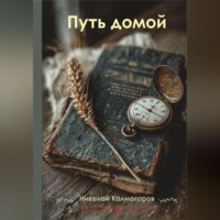 . Путь домой