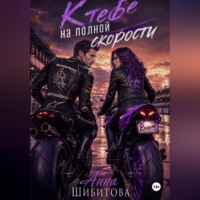 Анна Шибитова. К тебе на полной скорости