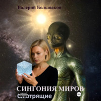 Валерий Большаков. Сингония миров. Смотрящие