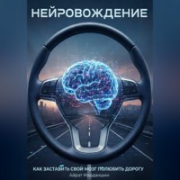 Айрат Марданшин. Нейровождение - как заставить свой мозг полюбить дорогу