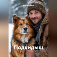 Александр Мегов. Подкидыш