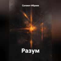 . Разум
