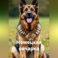 Турист Мартовский. Немецкая овчарка